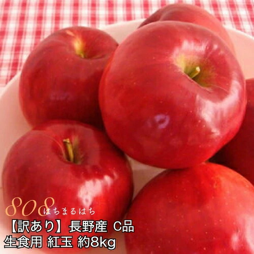 【全額返金】9月分予約 訳あり 減農薬 長野 生食用 紅玉 りんご 約8kg C品 小玉32～60個入 リンゴ 林檎 産地直送 小山 ※ ふるさと納税 ではありません SSS