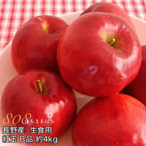 【全額返金】9月分予約 減農薬 長野 生食用 紅玉 りんご B品 約4～8kg小玉12～50個入 リンゴ 林檎  産地直送 小山 SSS※ ふるさと納税 ではありません