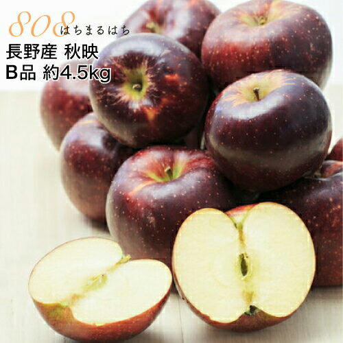 【全額返金】10月分予約 減農薬 秋映 りんご あきばえ B品 約4.5kg～9kg 長野 リンゴ 林檎 産地直送 小山 SSS ※ ふるさと納税 ではありません
