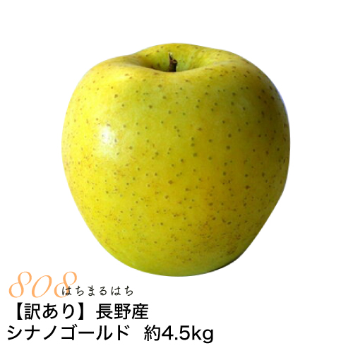 訳あり 減農薬 長野 シナノゴールド りんご 約4.5kg 8〜25個入 リンゴ 林檎 産地直送 小山 SSS 12t