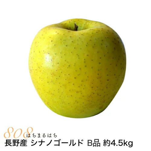 【全額返金】11月分予約 減農薬 長野 シナノゴールド りんご B品 約4.5～9kg 8～50個入 リンゴ 林檎 産地直送 小山 SSS※ ふるさと納税 ではありません