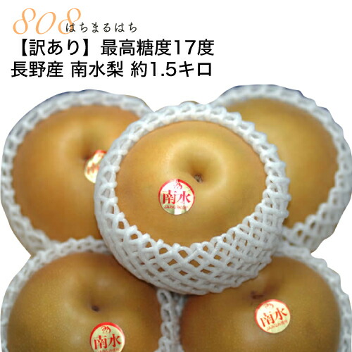 【全額返金】10月分予約 訳あり 最高糖度17度 梨 長野産 南水梨 約1.5kg 大玉4～5個 南水  ※ ふるさと納税 ではありません SSS