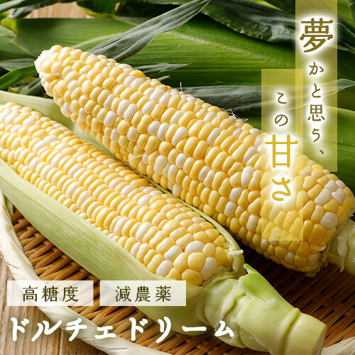 6月分予約 減農薬 香川産 朝採れ 高糖度 とうもろこし ドルチェドリーム 3箱(計24～30本) トウモロコシ SU ※ ふるさと納税 ではありません