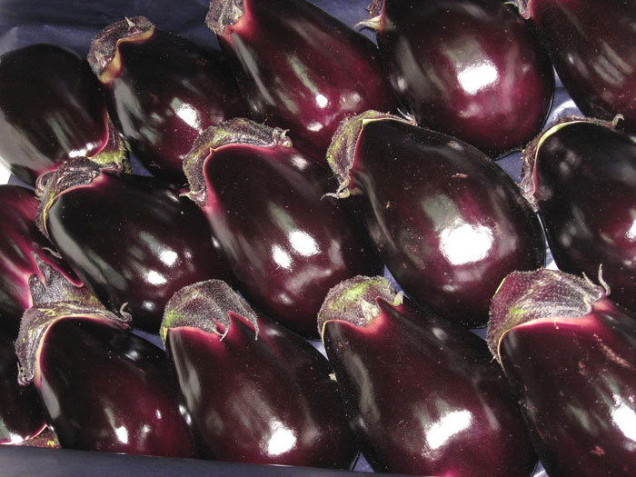 泉州 家柄 水なす 個 凡そ3kg 進ぜる使い方 水ナス 水茄子 礼物 5g 生でも食べられるなにわの慣例蔬菜 水ナス 水茄子 泉州商標名野菜 Pasadenasportsnow Com