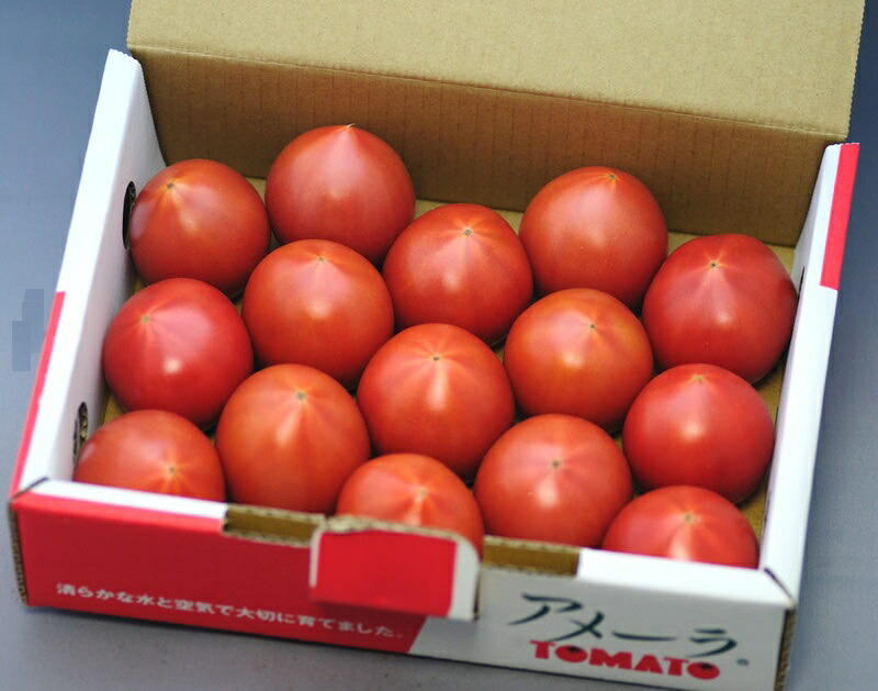 楽天市場】有機JAS 高知産 ミニトマト 3.8kg サイズ混合 訳あり 産地 