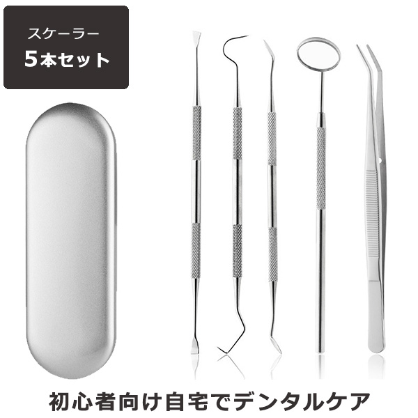 楽天市場】デンタルケア デンタルツールセット 5点セット ステンレス製