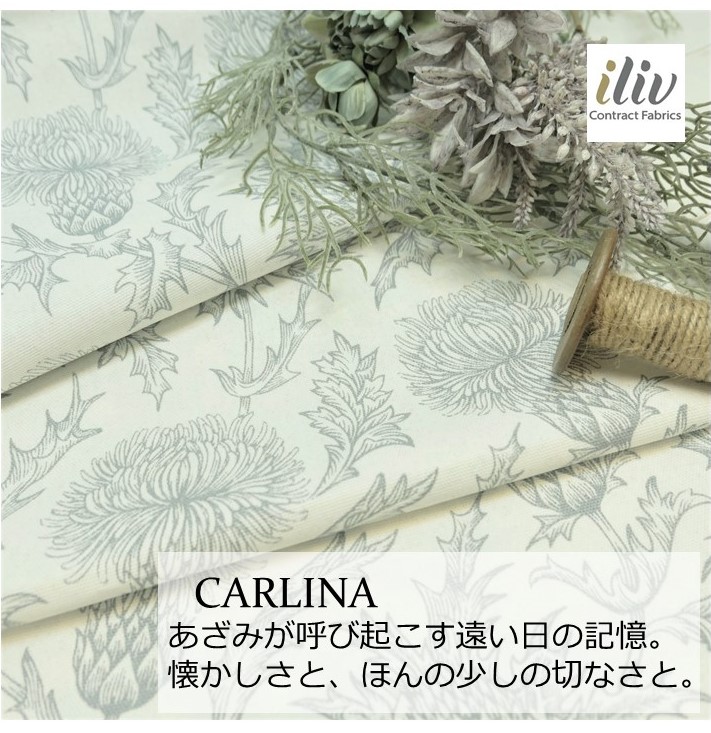 楽天市場 イギリス 輸入生地商品名 Carlina Duskブランド名 Iliv アイリブ 50cm以上10cm単位 花柄 ボタニカル ハンドメイド トートバッグ エコバッグ マスク 生地 布 あざみ カルトナージュ グレー クリスマス 人気 はぎれ カット売り Fab Home