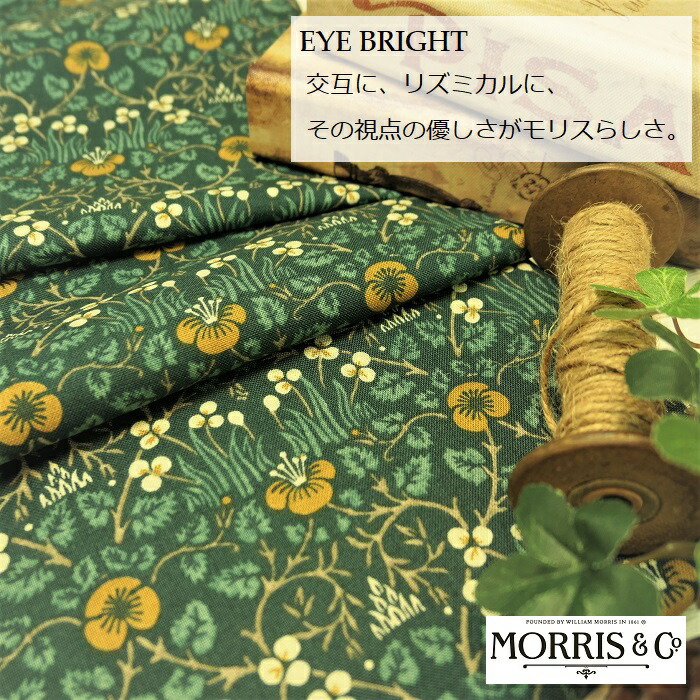 楽天市場 ウイリアム モリス 輸入生地商品名 Eye Bright ブランド名 William Morris イギリス サンダーソン 社正規品 50cm以上10cm単位サンダーソン 生地 布 グリーン マスク エコバッグ トートバッグ はぎれ カット カット売り Fab Home