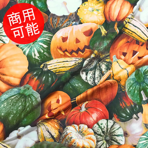 シーチング 約48cmハギレ ランタン ジャック 大きなカボチャ柄 はぎれ カットクロス ハギレ リアルプリント ジャックオーランタン オー