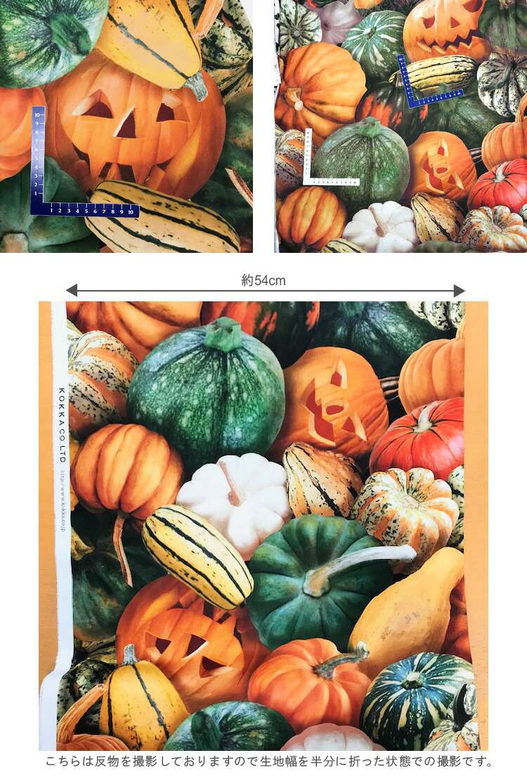 シーチング 約48cmハギレ ランタン ジャック 大きなカボチャ柄 はぎれ カットクロス ハギレ リアルプリント ジャックオーランタン オー