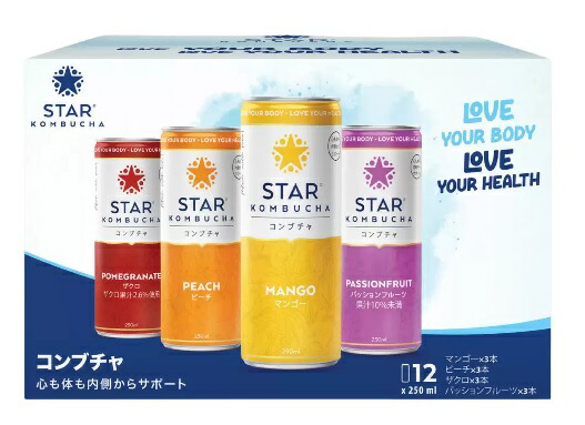 複数購入専用★ベルセレージュ　ナチュラルコンクドリンクダイエタリー ナチュラルコンクドリンク ダイエタリー300 エスニックタイプ