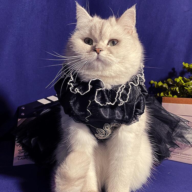 愛玩動物服 犬服猫服 御芽出度お召しもの 超晴れ晴れしい 黒いことお召しもの 御前上等感 犬服 ドッグウェア キャットウェア 御芽出度 フォーマル 御芽出度 挙式 追悼式 お召しもの 猫 御芽出度 お召しもの 黒いこと フォーマルドレス 小型犬 中型犬 愛玩動物 御芽出度 子ネコ成猫 チワワ 貨物輸送無料