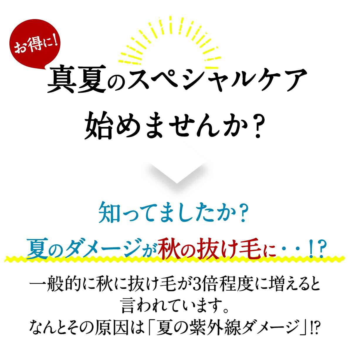 楽天市場 Iqumore公式 イクモア 夏の福袋 女性用育毛サプリメント 育毛 ヘアケア 養毛 女性用ヘアケアブランド イクモア 福袋 送料無料 Fabulous Labo ファビュラス ラボ