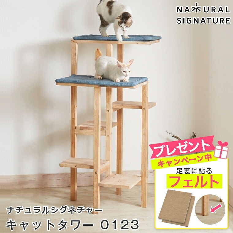 楽天市場】キャットハウス 木製 猫 ペットハウス クッション付 