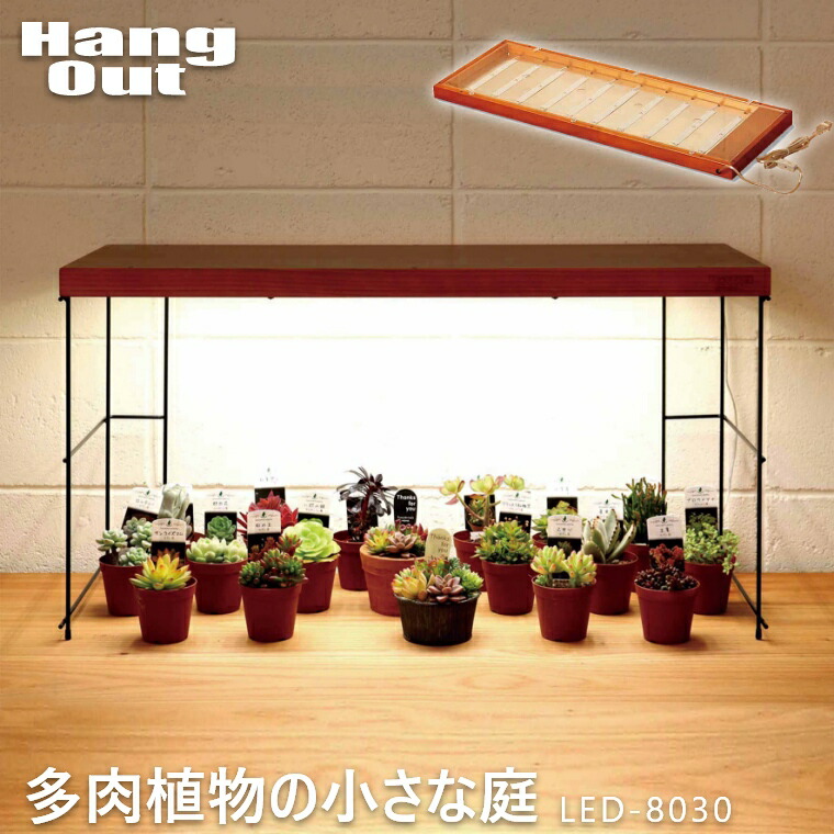 楽天市場 多肉植物の小さな庭専用スタンド Led 35lg ハングアウト Hangout 専用スタンド 家具のホンダ