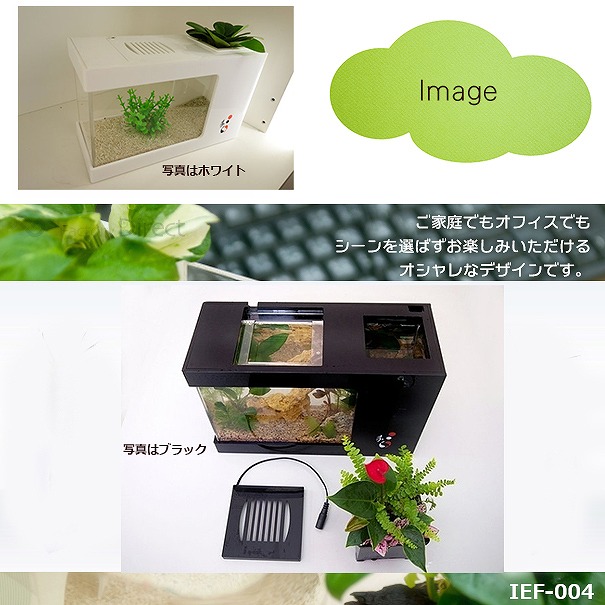 高い品質 Ief 004wh アクアリウム水槽ホワイトベース 着脱式ledライト付水槽 熟練した職人の手作り品 ハンドメイド 水槽 インテリア ガーデニング 小魚 観葉植物 水耕栽培 大人気の多肉植物にも 風水 ラッキーカラーで運気アップ Newschoolhistories Org