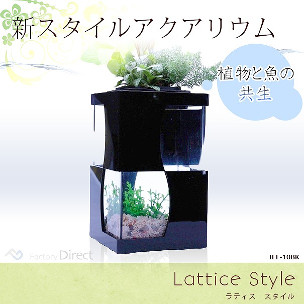 楽天市場 送料無料 限定販売 Ief 010bk アクアリウム水槽lattice Style ラティススタイル ブラックベース 着脱式ledライト付 水槽 熟練した職人の手作り品 ハンドメイド 水槽 インテリア ガーデニング 小魚 観葉植物 水耕栽培 大人気の多肉植物にも 風水 運気