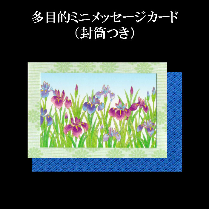 楽天市場 はがき 菖蒲 あやめ しょうぶ 兜 端午の節句 和紙 葉書 和風 五月人形 大将人形 こどもの日 イラスト 初節句 5月 春 御所解もようはがき 薫風 Fpi 605 ３枚入り お礼 贈り物 挨拶状 御礼状 和紙 ハガキ 入学 新年度 転任 引っ越し 四季 季節 ポストカード