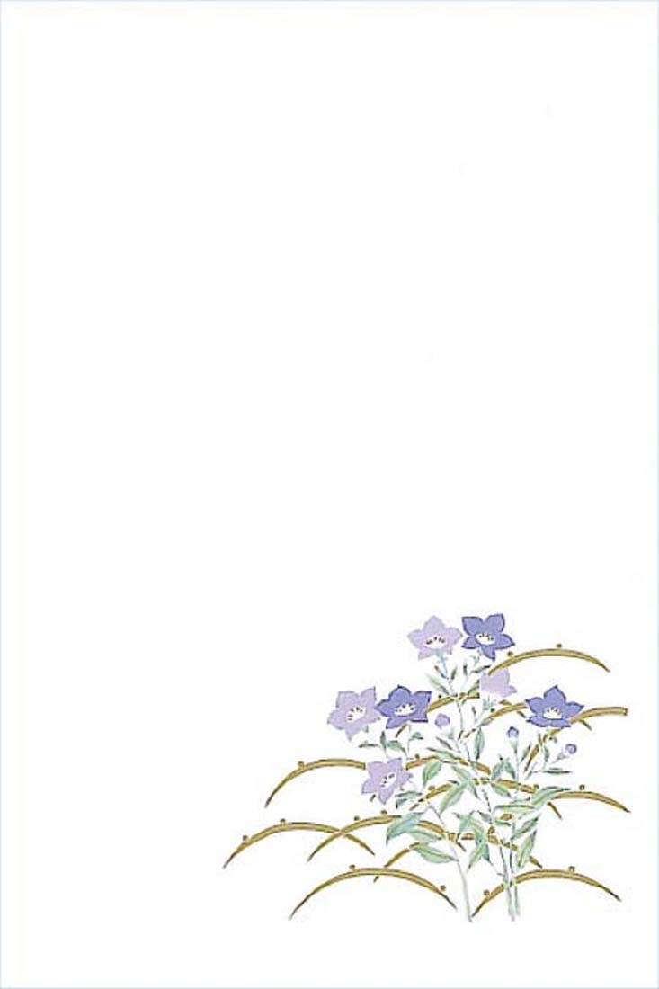 【楽天市場】はがき 暑中見舞い 和風 イラスト 夏 お中元 御礼状 【花うたげ 桔梗(ききょう)】和紙 福井朝日堂 京都：F. A