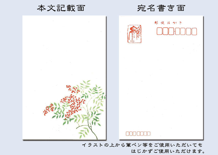 楽天市場 年賀 はがき 寒中見舞い ハガキ 和紙 年賀状 お礼 葉書 和風 花の寿ぎ Fps 803 南天 なんてん ３枚入り 定型文なし 絵葉書 冬 イラスト 無料 ポストカード 御礼状 挨拶状 年賀状 返礼 福井朝日堂 京都 F A Greetings