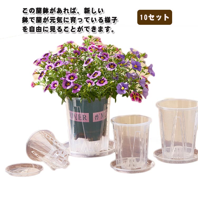 楽天市場】 直径10cm 直径16cm 透明な蘭の鉢 育苗ポット 直径12cm