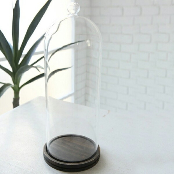 楽天市場】ポリカーボネートドーム ディスプレイ ドーム 大 直径225mm