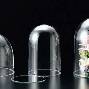 楽天市場】ガラスドーム ディスプレイドーム glassdome EXL