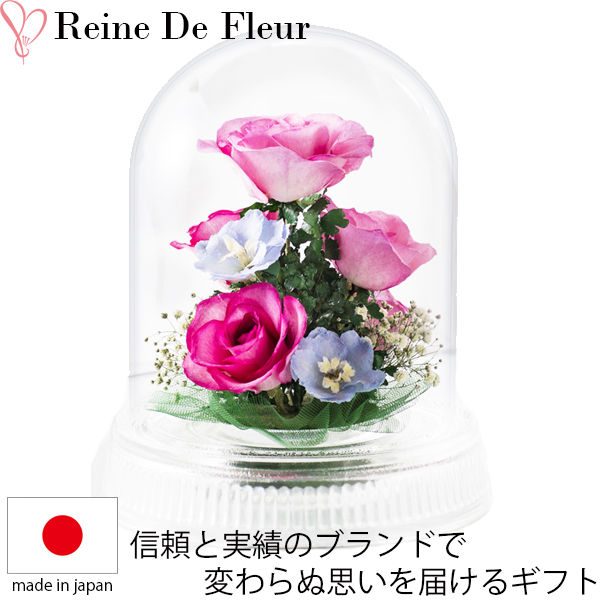 Fairy Land Celebration Of Dried Flower Bottle Flower Ren Demister