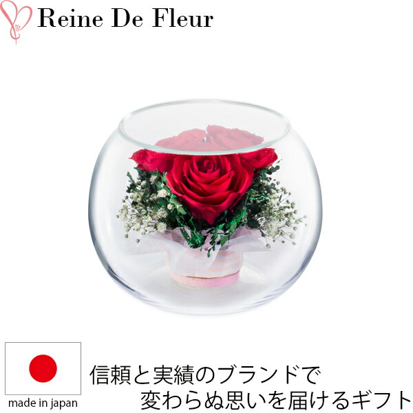 楽天市場】レンデフロール バラ ミニバラ かすみ草 ドライフラワー