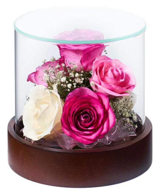 楽天市場】レンデフロール バラ ミニバラ かすみ草 ドライフラワー