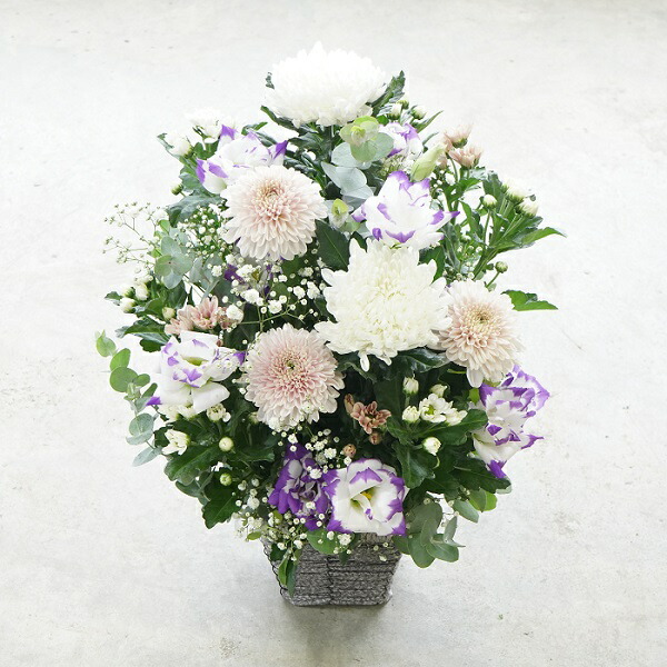 マムがメインのお供え花アレンジメント 菊生産者 新鮮 国産 生花 花束 仏花 お盆 彼岸 ご供養 お悔やみ お墓参り おそなえ 墓花 法要法事 月命日 お供え花 一周忌 法要 ペット 枕花 贈り物 父の日参り