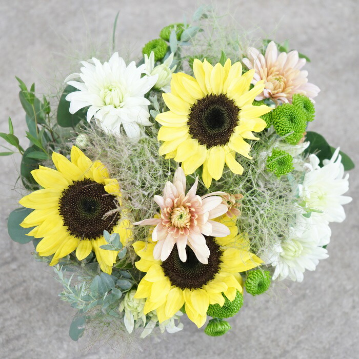 国産 早割実施中 6月12日まで 父の日に贈る マムと季節のお花のアレンジメントとマグカップのギフトセット 完全お任せ商品 限定品 送料無料 母の日 父の日 誕生日プレゼント 花 生花 誕生日 プレゼント ギフト 花束 飾り マム スプレーマム ディスバットマム