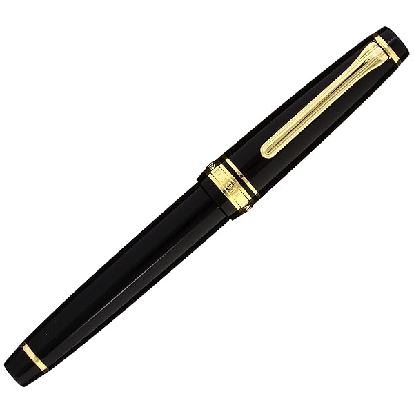 楽天市場】PILOT 万年筆 マンネンヒツ カスタム743 B EF ブラック