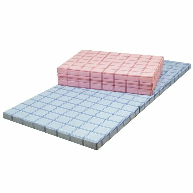 EGC66 展示品 リハテック ボディコンディショニングマットレス RH-BAE 楽天市場】ボディコンディショニングマットレスワイドダブルサイズ両面