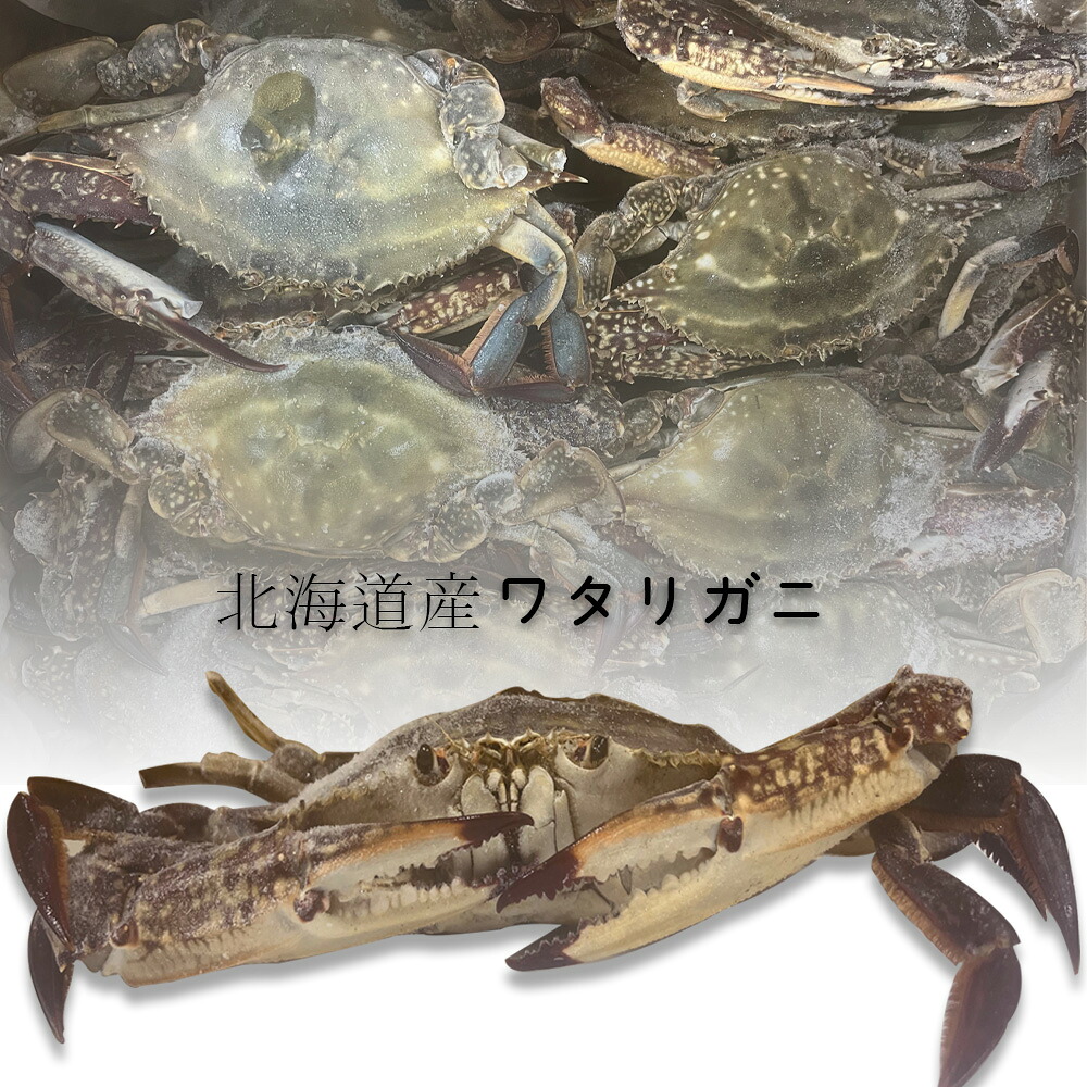 【冷凍】北海道産ワタリガニ1kg~3kg!!北海道産premiumかに 北海道からとれたワタリガニ! オス|コリア・タウン