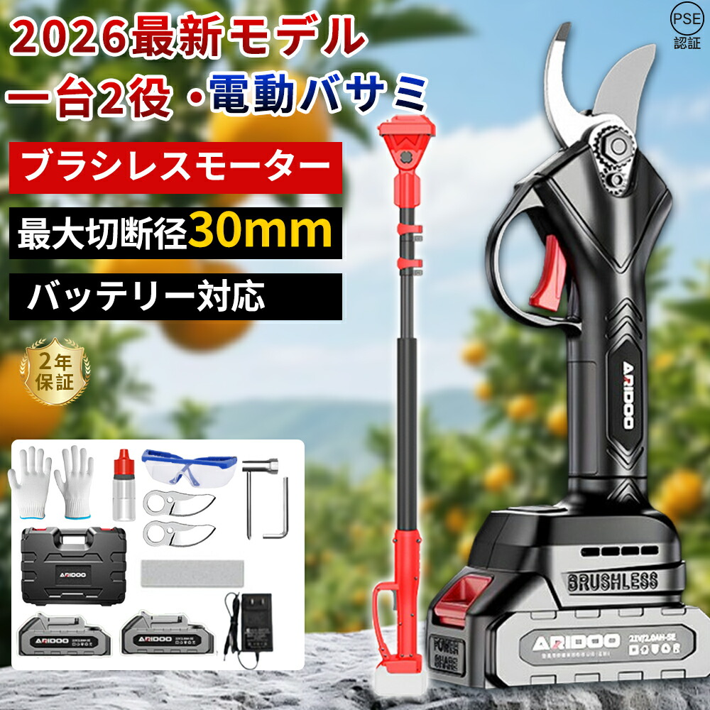 切り落とすばさみ 電動 高枝切りバサミ 申し受ける式 一台2役 電動ハサミ 高枝切り 電動枝切りバサミ 身寄り用 コードレス 片手 伸縮 切りはなす差しわたし30粍 くい違い口50粍 開き角度合わせる能力のある 着脱式 伸縮極点最長2.5m 豪然たる 大工仕事切りはなす 庭木 伐採 電動物の具 生り物用 切り落とす鋏 園芸用切り落とす物の具 小型軽さ 亭主もち用