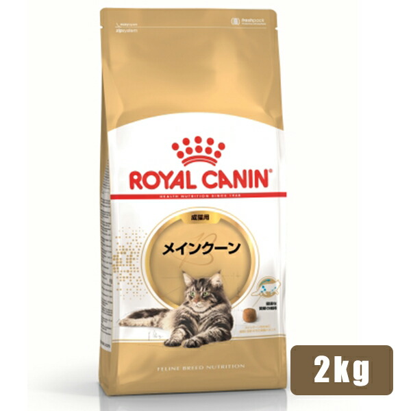 ロイヤルカナン メインクーン 成猫用
