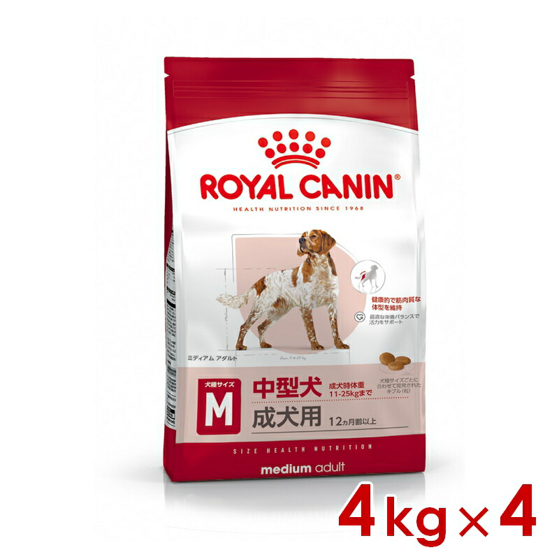 ロイヤルカナン SHN ミディアム アダルト 4kg×4 (s5290036) ※お一人様1個まで [犬 ドッグ ドライフード]