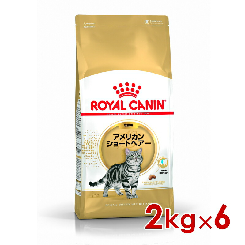 ロイヤルカナン FBN アメリカンショートヘアー 成猫用 2kg×6個(s5290172) ※お一人様1個まで [猫 キャット ドライフード]