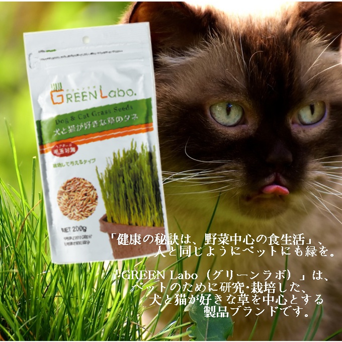 楽天市場 エイムクリエイツ 犬と猫が好きな草のタネ 0ｇ ペットファミリー