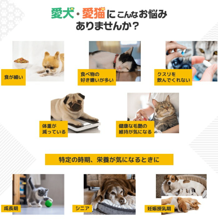 楽天市場 アース 栄養補給ペースト スタミノール 犬用 100g 10個 サプリメント 健康維持 夏バテ対策 S ペットファミリー