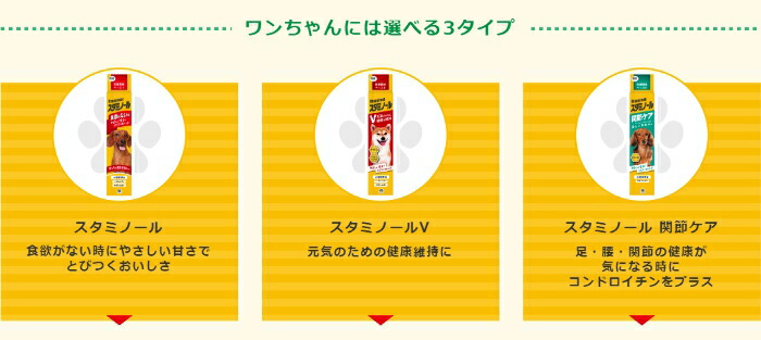 楽天市場 アース 栄養補給ペースト スタミノール 犬用 100g 10個 サプリメント 健康維持 夏バテ対策 S ペットファミリー