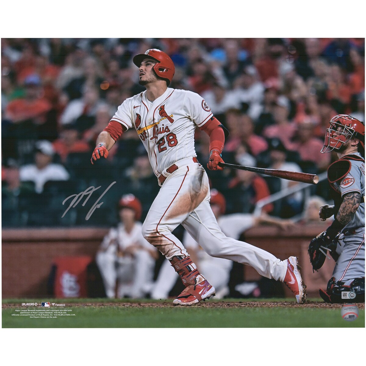 【MLB公式ホログラム付】MLB カージナルス ノーラン・アレナド 直筆サイン フォト Fanatics Authentic/ファナティクスオーセンティック (AUT 16x20 PHOTO 4122022)