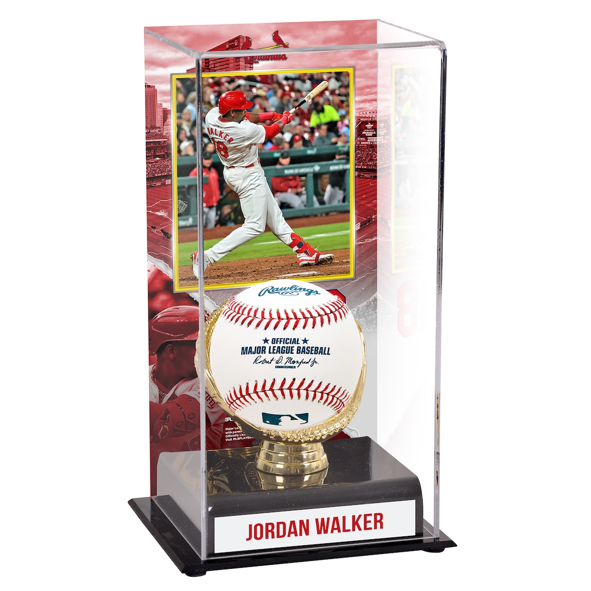 【公式グッズ】MLB カージナルス ジョーダン・ウォーカー コレクタブル用ケース Fanatics Authentic/ファナティクスオーセンティック (UNS DISPLAY CASE 45413)｜Fanatics公式ストア 店 10,907円