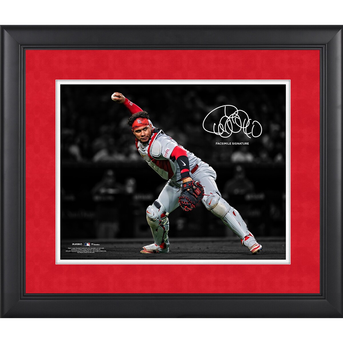 【公式グッズ】MLB カージナルス ウィルソン・コントレラス コレクタブルフォト Fanatics Authentic/ファナティクスオーセンティック (UNS MLB PF31 FRAMING 45419)