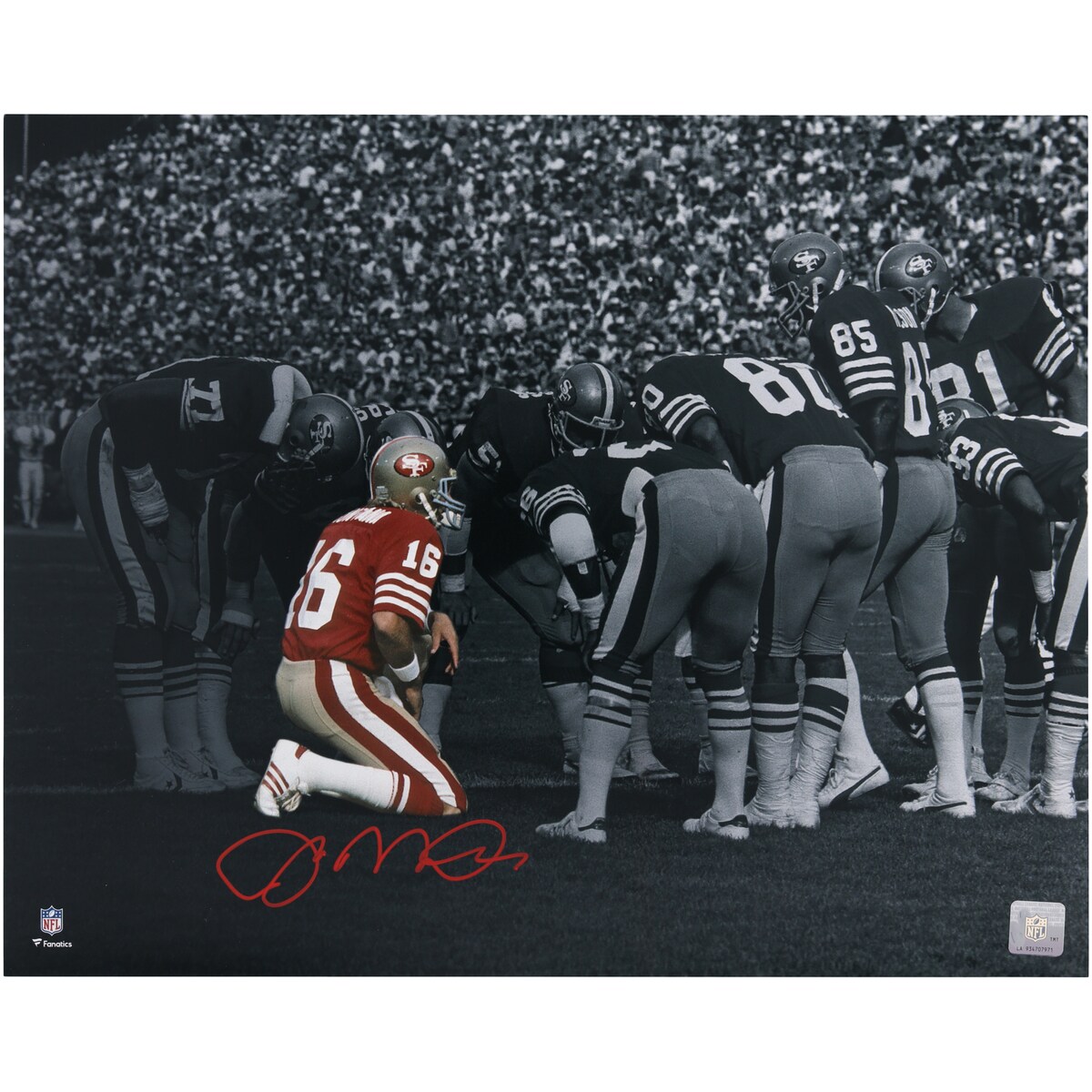 【公式シリアル番号付】NFL 49ers ジョー・モンタナ 直筆サイン フォト （16x20） Fanatics Authentic/ファナティクスオーセンティック (AUT 16x20 PHOTO 45217)