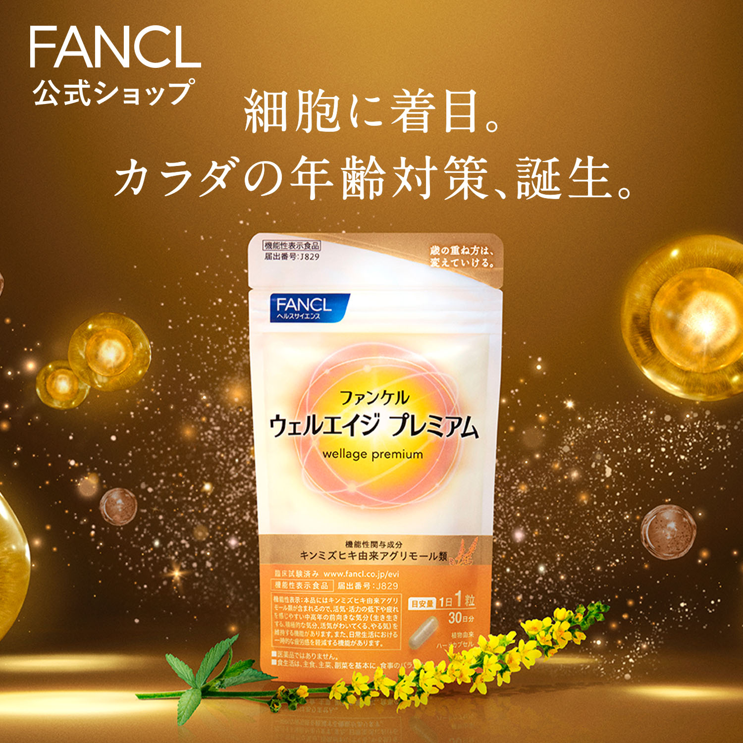 ウェルエイジ プレミアム