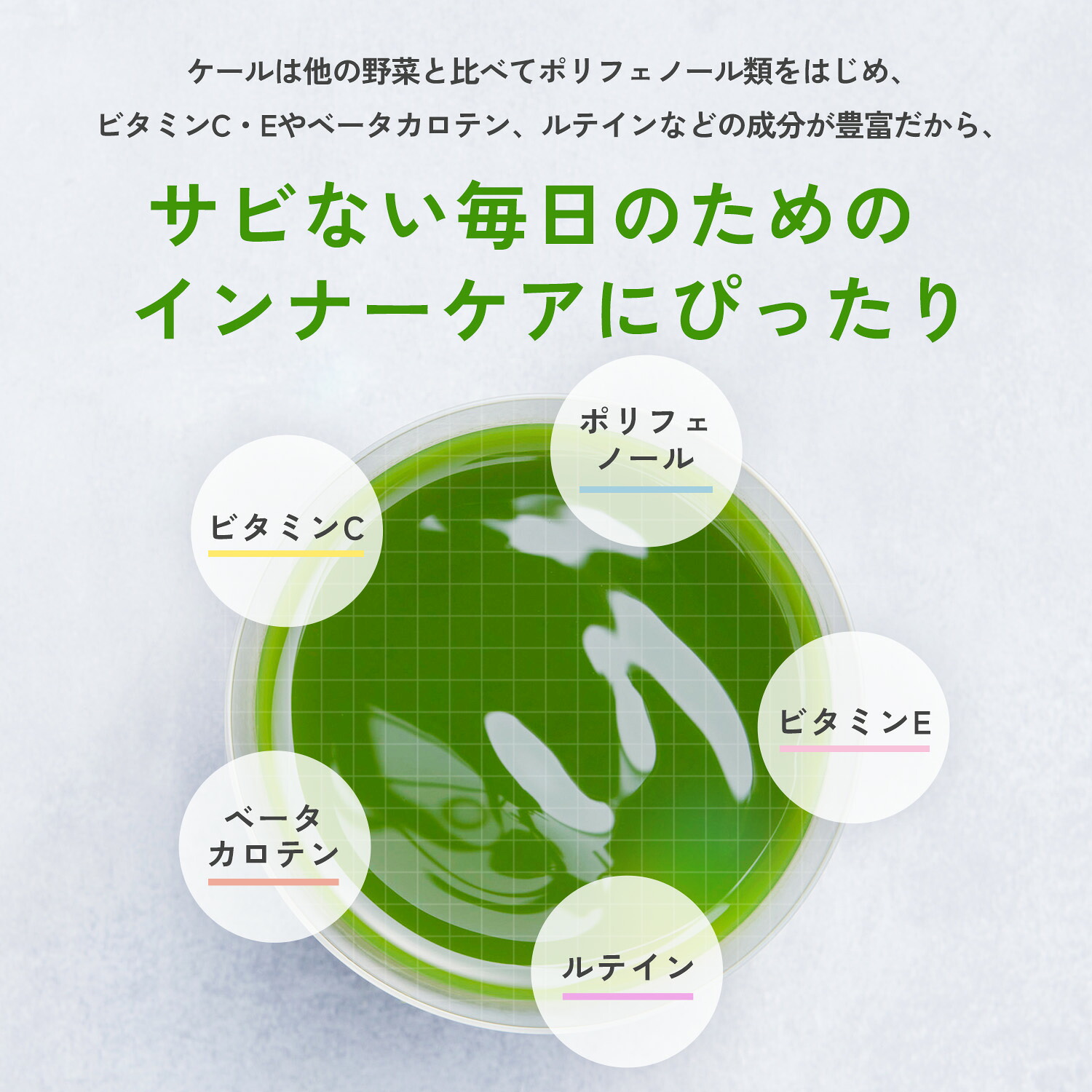 1日分のケール青汁 30本入り 【ファンケル 公式】[FANCL 青汁 葉酸 鉄 