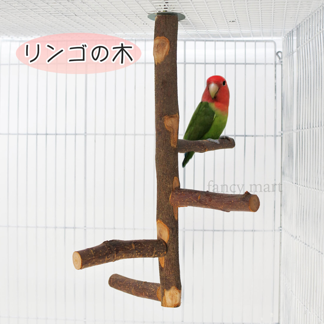 楽天市場】室内の放鳥時にぴったりな天然木のタワー。手乗りの