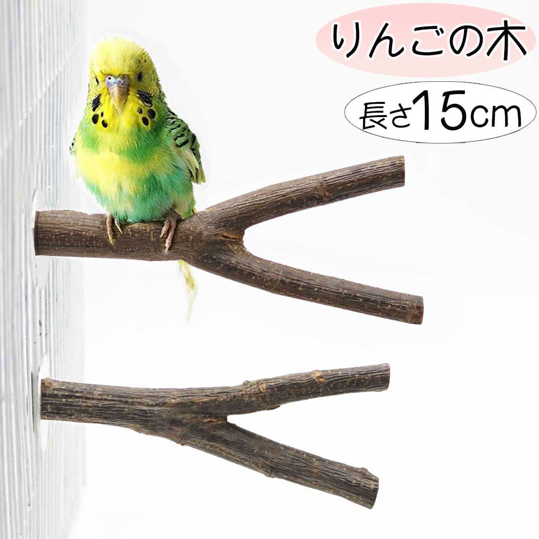 まこりん ccsgv0783-acst_NO1.jpg?v=